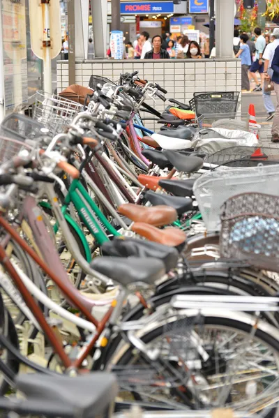 DSC_4021 (Large).JPG